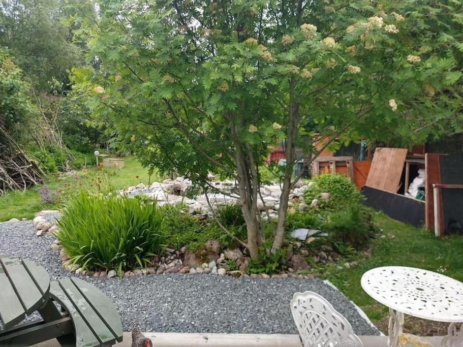 فيلا Hippy Shack Cabin, Self Contained @ Cartmel Aultbea أكناشين المظهر الخارجي الصورة